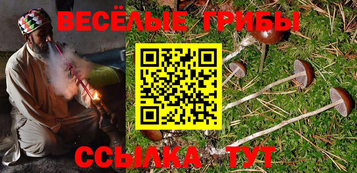 Галлюциногенные грибы ЛСД  Вход с VPN  Галлюциногенные грибы GOLDEN TEACHER  Анжеро-Судженск 